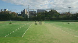 後方に大きな建物や木々が見え、人工芝のコートが横に並んでいる住吉公園テニスコートの写真