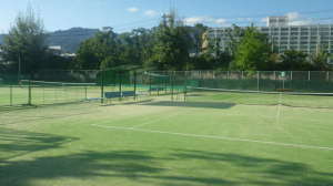 木々やフェンスで囲まれた、砂入人工芝コートの大和公園テニスコートの写真